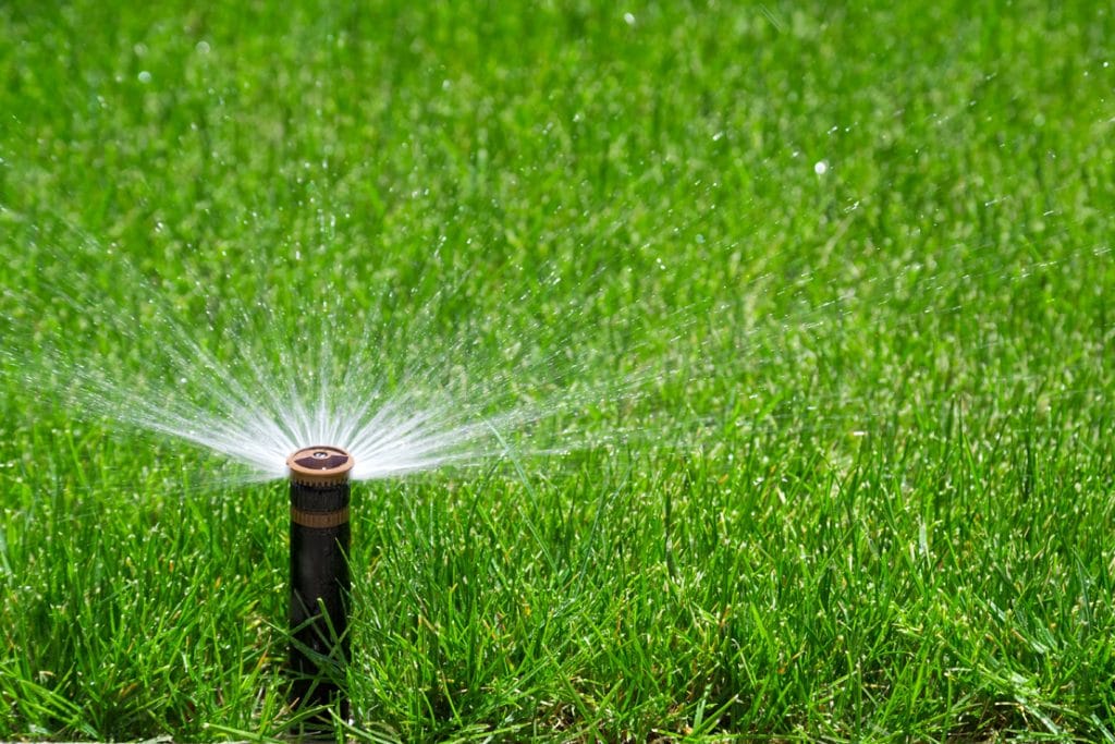sprinkler watering lawn mowing plano tx