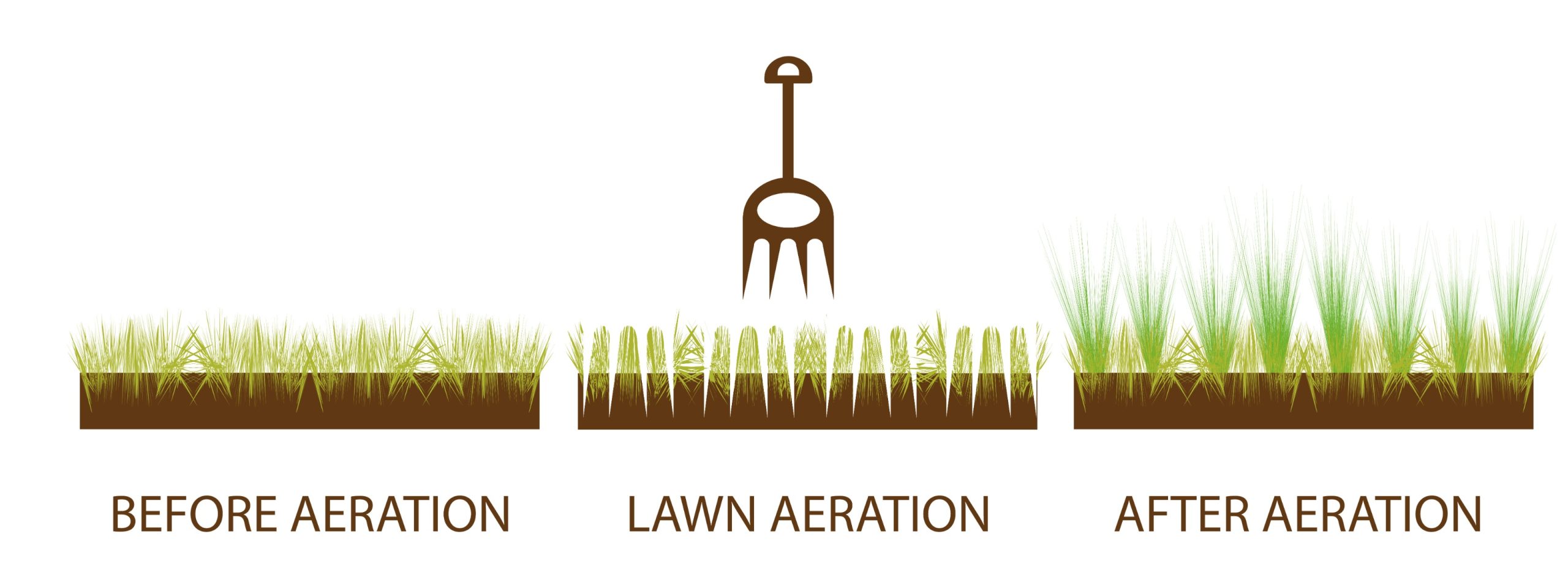 lawn aeration in spring and fall