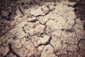 aerate your lawn twice a year