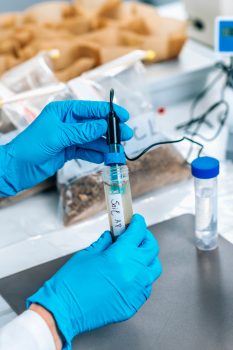 will lime help grass grow