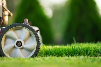 take care of new sod