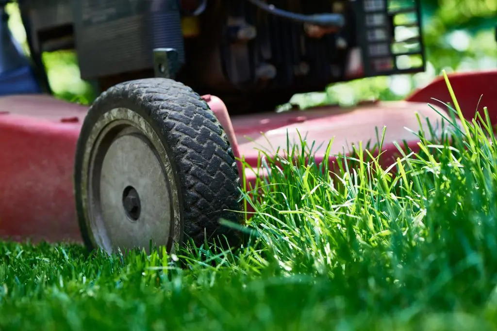 lawn care mckinney