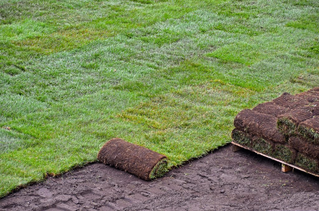 McKinney Sod Installation | Sod Delivery and Installation