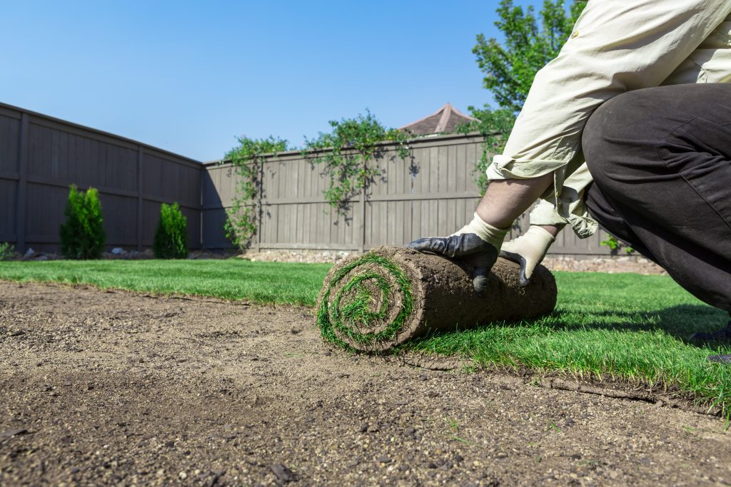 Dallas Sod Installation Services--Best Dallas Sod Installers