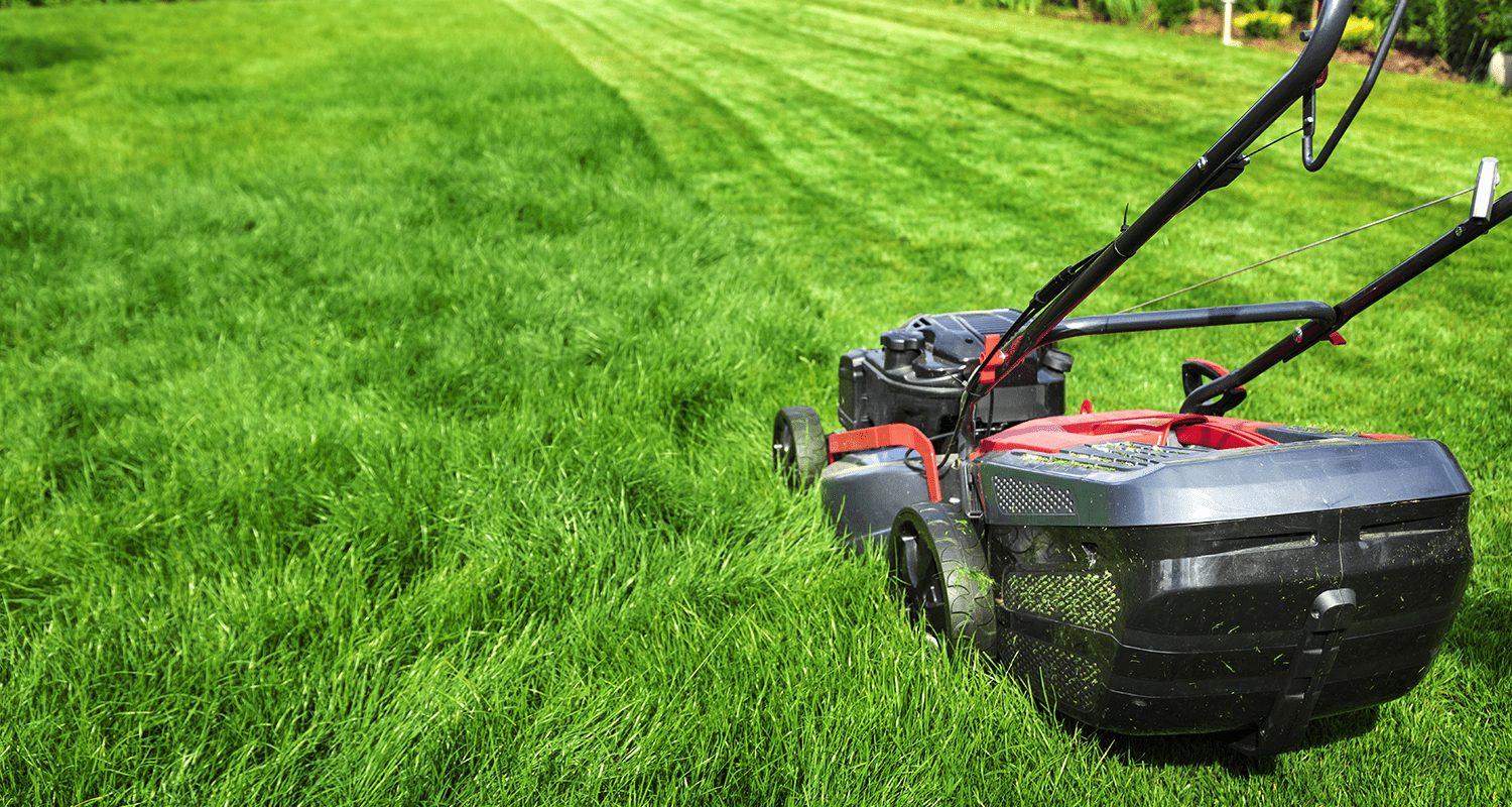 Carrollton Lawn Care Service - Mowing & Maintenance