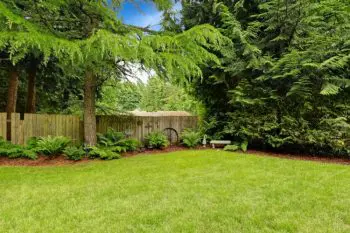 spring lawn fertilizer