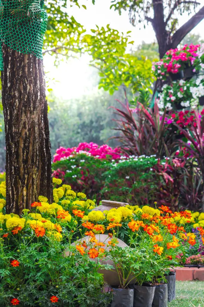 landscaping services in the colony TX