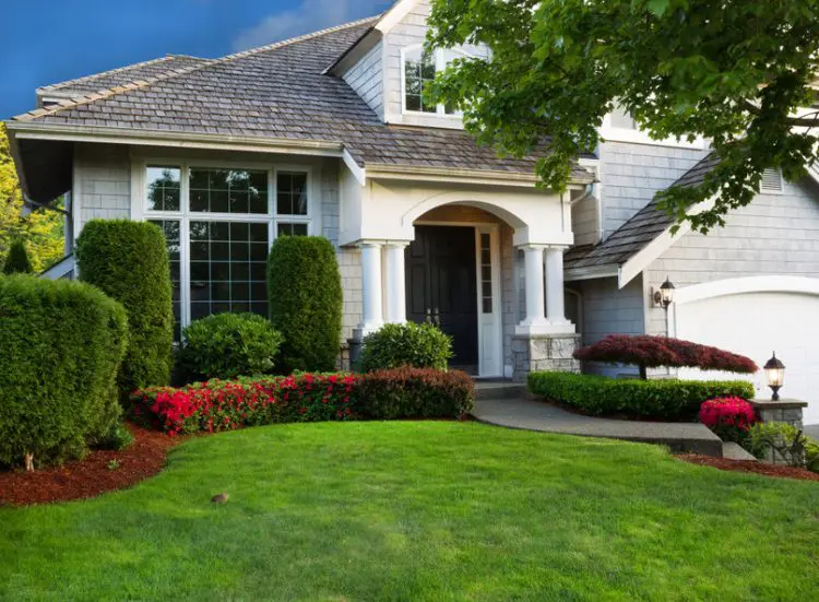 Castle hills lawn care services in hebron, TX