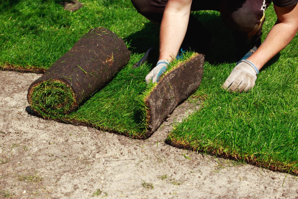 Castle Hills Sod Installation -Professional Sod Installers
