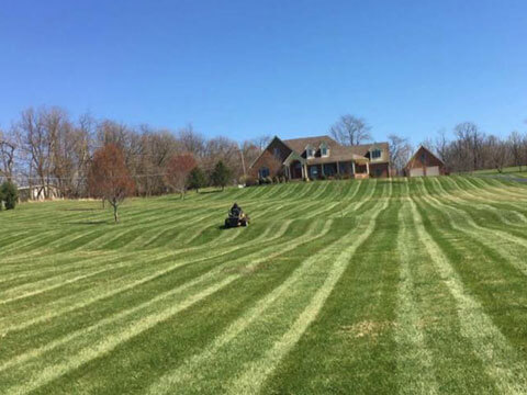 Melissa Lawn Care | Lawn Care and Lawn Maintenance Services