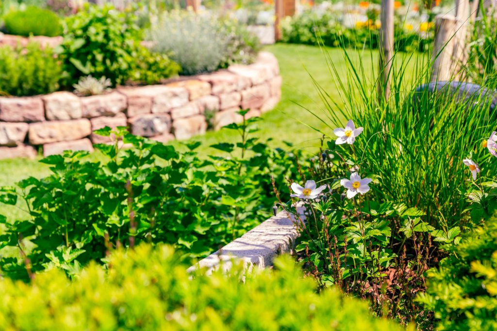 Little Elm Landscaping Services - JC's Landscaping LLC