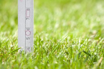 when to mow new sod