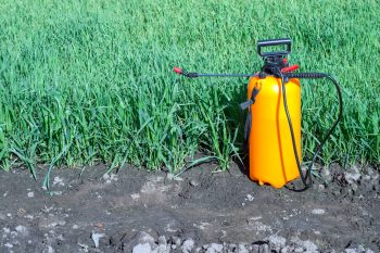 what is post emergent herbicide