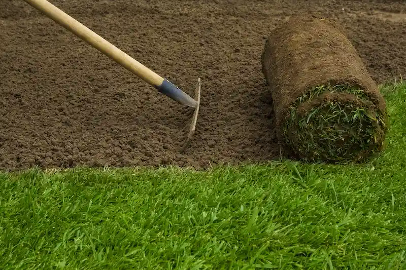 sod installation