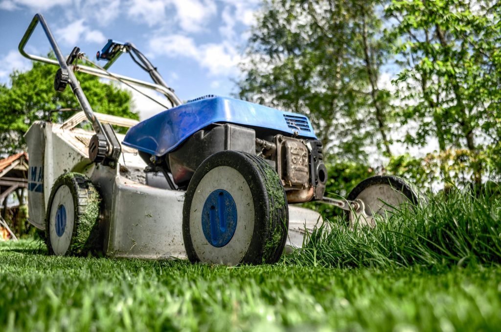 best diy lawn care program