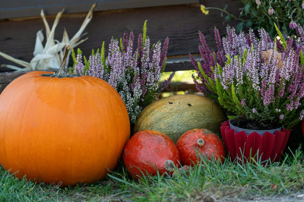 fall potted plant ideas