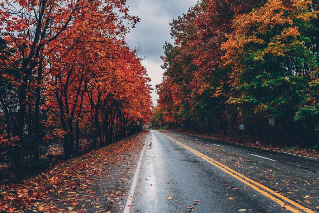 how long do fall colors last