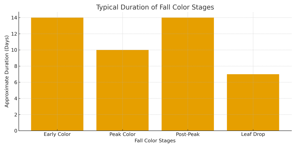 how long do fall colors last