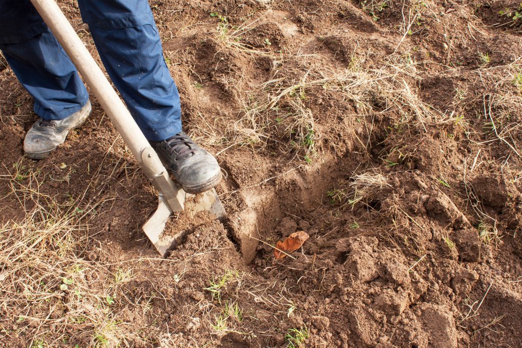 dig a hole to build a firepit