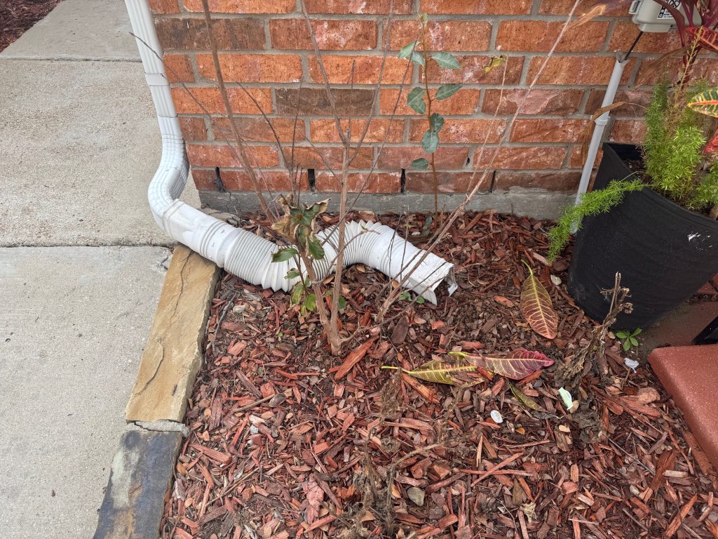 how to improve backyard drainage
