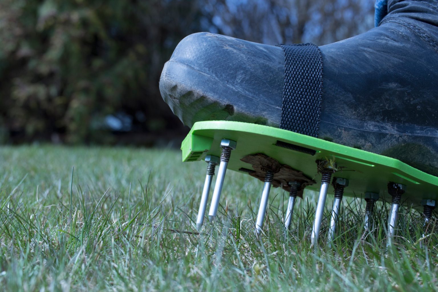 Photo inspiration: Fresh Look at Should You Aerate Your Lawn Every Year